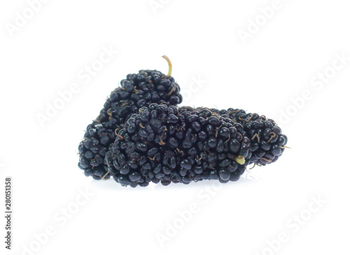 mulberry isolated on the white background