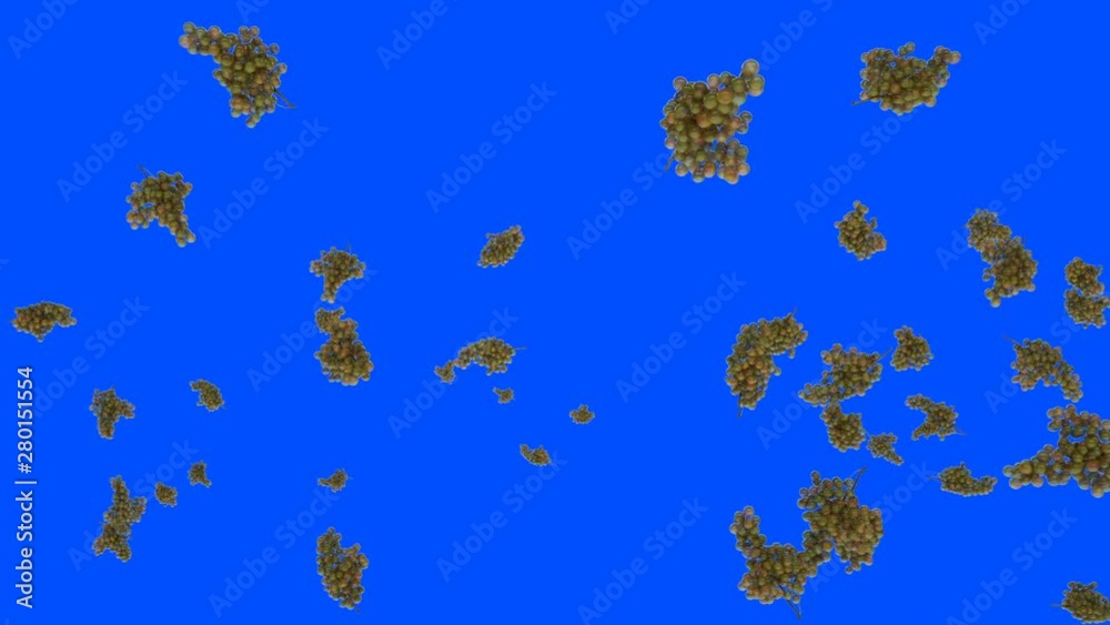 Fresh grapes flying in slow motion against Blue Screen Fresh grapes flying in slow motion against Blue Screen