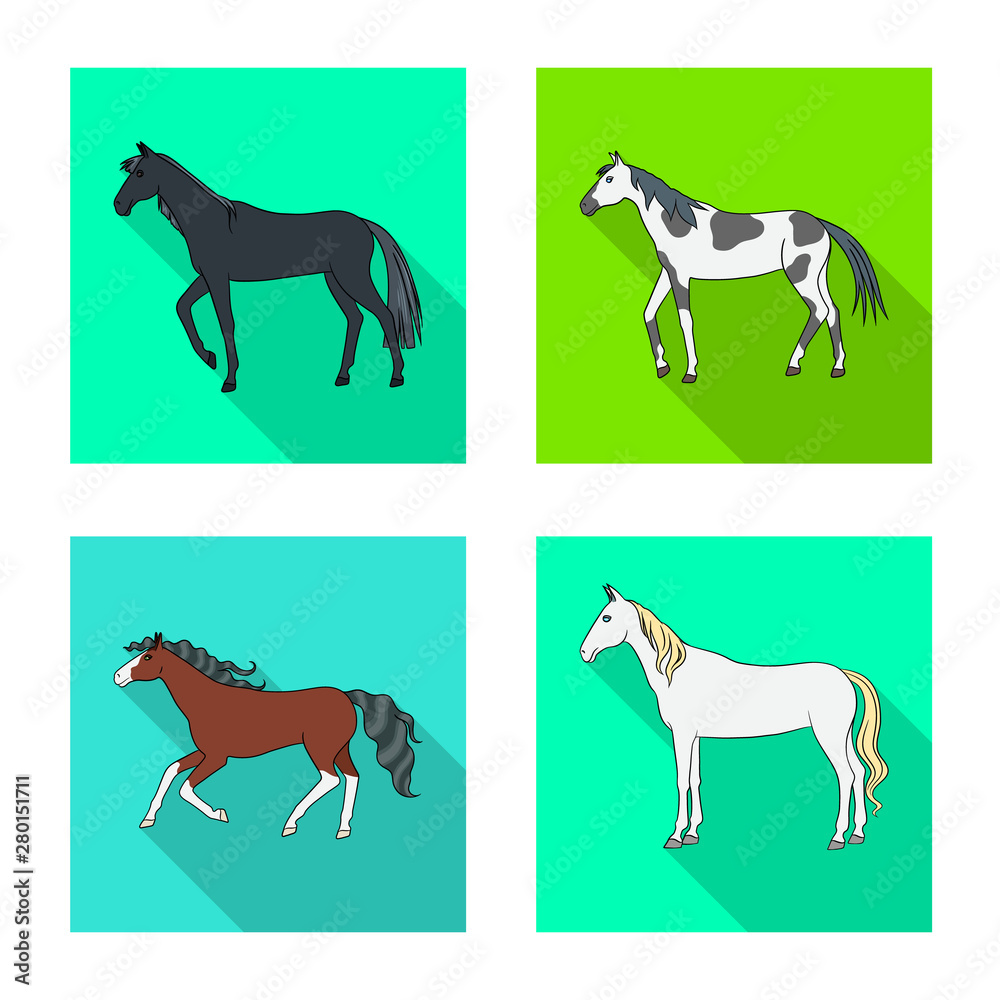 Isolated object of breed and equestrian logo. Collection of breed and mare stock vector illustration.