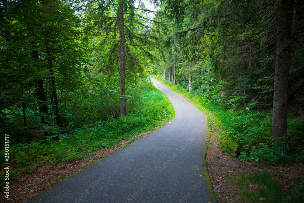 downhill winding road in green forest scenery, with no people. Mountain road landscape. downhill winding road in green forest scenery, with no people. Mountain road landscape.