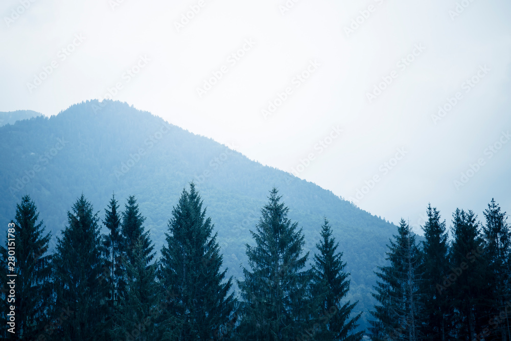 Fototapeta premium Misty mountains wallpaper, with tree tops in the foreground and hills in the background. Cold tones, blue filter.
