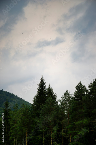 Mountains background with tree tops in the lower part of the frame under a grey moody sky. Vertical shot.