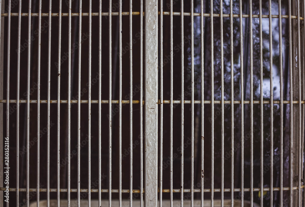 Gray still grates over a well Gray still grates over a well