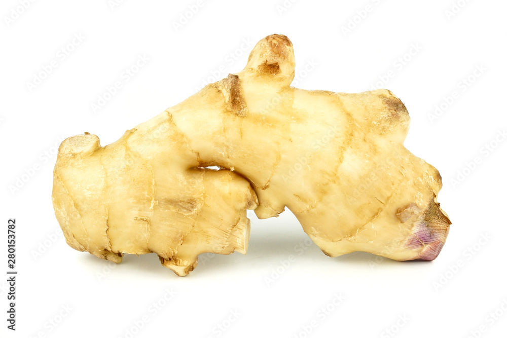 Fresh ginger root or rhizome isolated on white background, Ingredients of herbs for healing and healthy food or Natural therapy concept Fresh ginger root or rhizome isolated on white background, Ingredients of herbs for healing and healthy food or Natural therapy concept