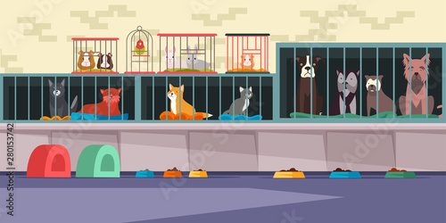 Animal shelter, pet shop flat vector illustration photo