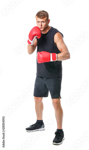 Strong male boxer on white ...