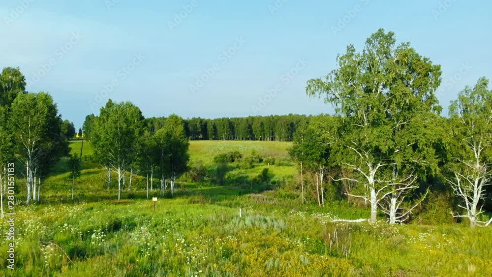 View from flying drone. Delightful view of picturesque, green forest on bright sunny day. View from flying drone. Delightful view of picturesque, green forest on bright sunny day.