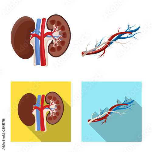 Vector design of body and human icon. Collection of body and medical vector icon for stock.
