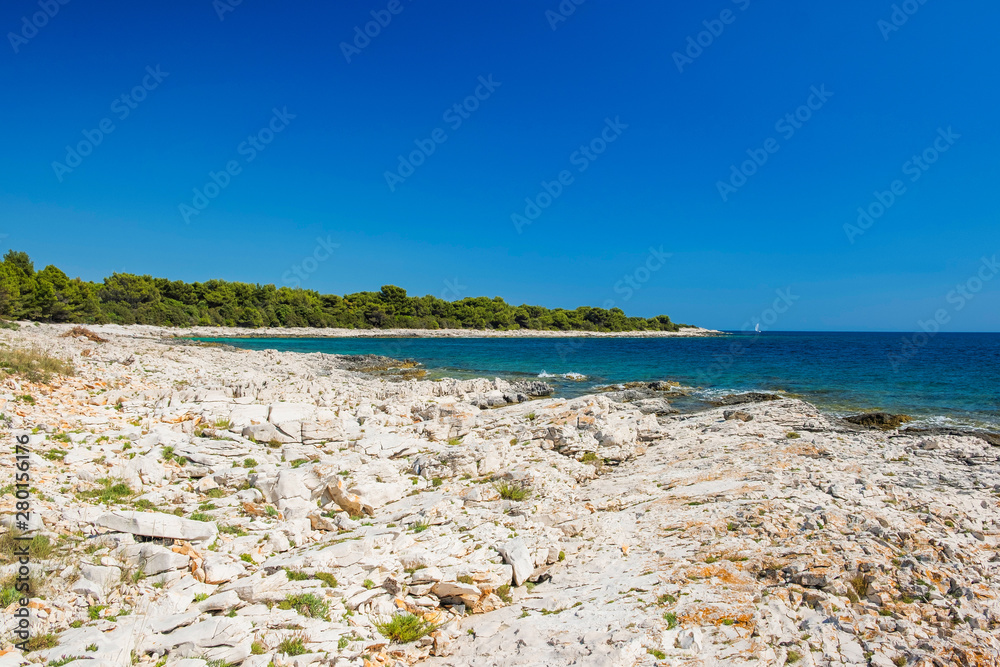 Croatia, Adriatic coast, rocky shore in turquoise sea, clear blue water on the island of Dugi Otok