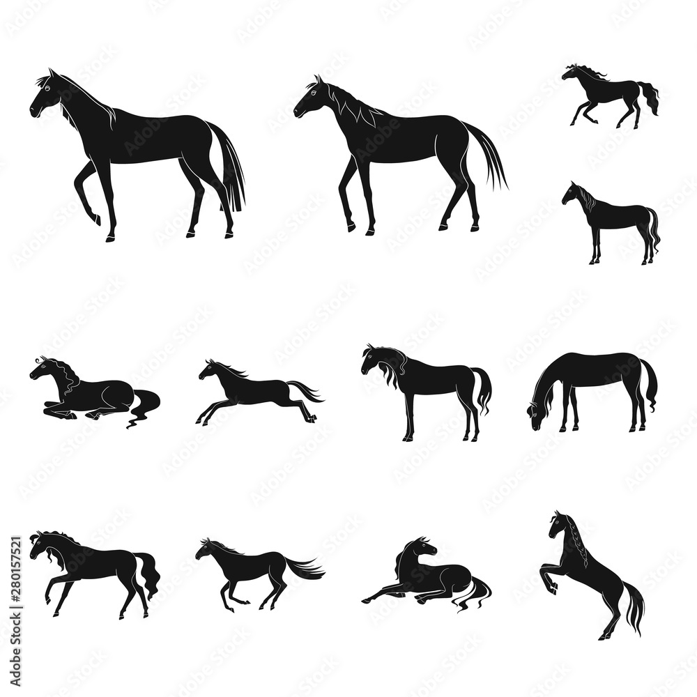 Isolated object of fauna and mare logo. Collection of fauna and stallion stock vector illustration.