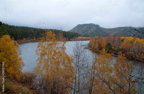 Barguzin Valley Russia, autumn leaves in trees along riverbank on an overcast day