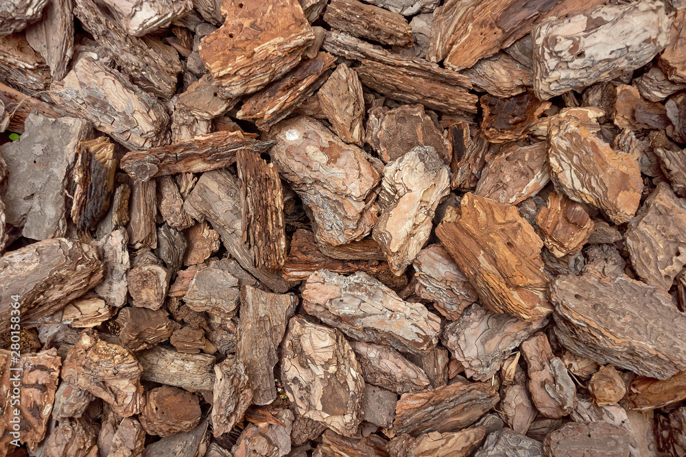 Closeup the wooden chips or scraps wood or surface of pieces of wood bark terracotta as textured and background