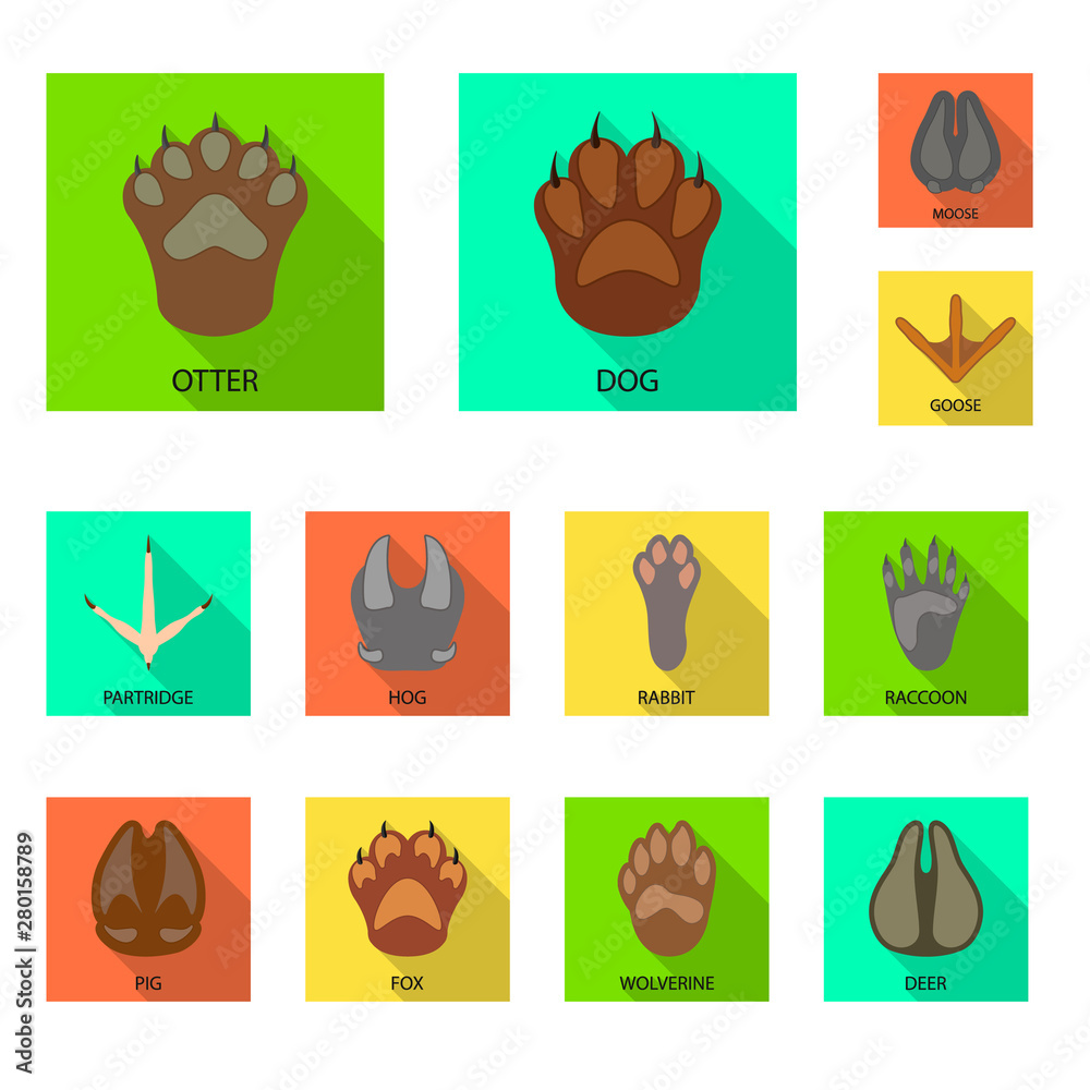 Isolated object of step and walk symbol. Collection of step and fauna vector icon for stock.