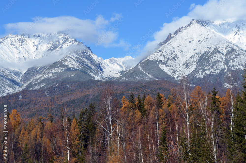 Snowy peaks at siberian forest deep in Russia