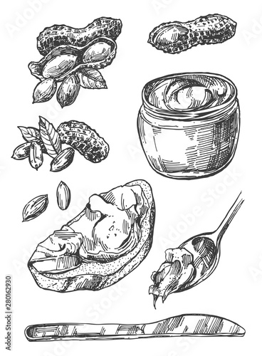 Peanut sketch illustration. Hand drawn beautiful set of groundnut.