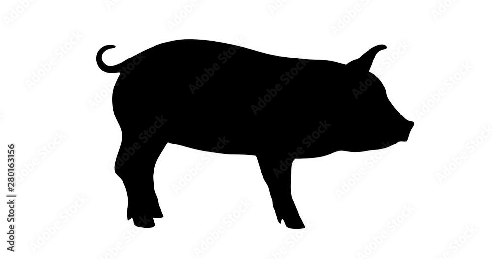 Piggy silhouette. Turntable animation. Piggy silhouette. Turntable animation.