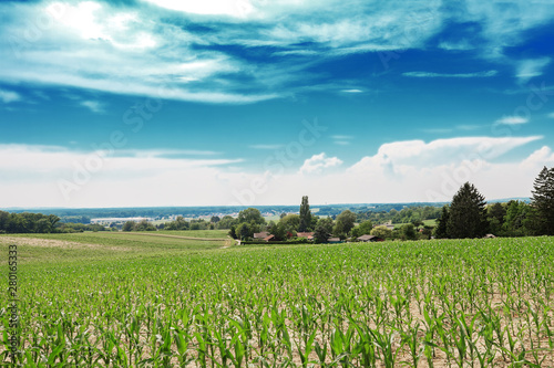 Summer landscape with agriculture fields near Leobendorf, Austria photo