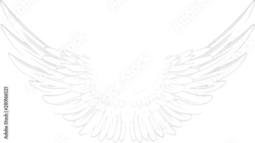 Vector white background with pair of wings. Angel wings