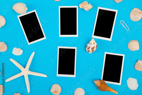 Frame of seashell flat lay with empty photo frame on blue background