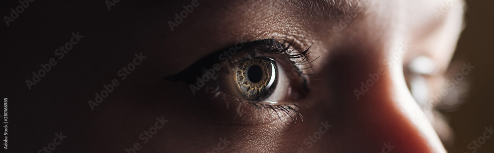 close up view of human eye looking away in darkness, panoramic shot - obrazy, fototapety, plakaty 
