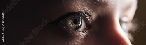 фотографія close up view of human eye looking away in darkness, panoramic shot