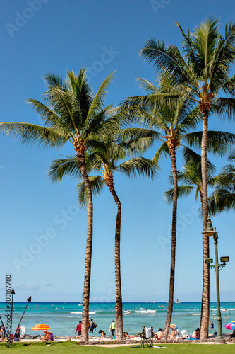 View of Hawaii in summer time © Kazu