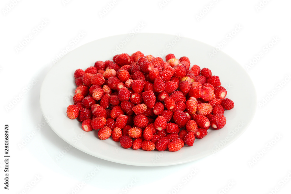 Wild Strawberry Wild Strawberry