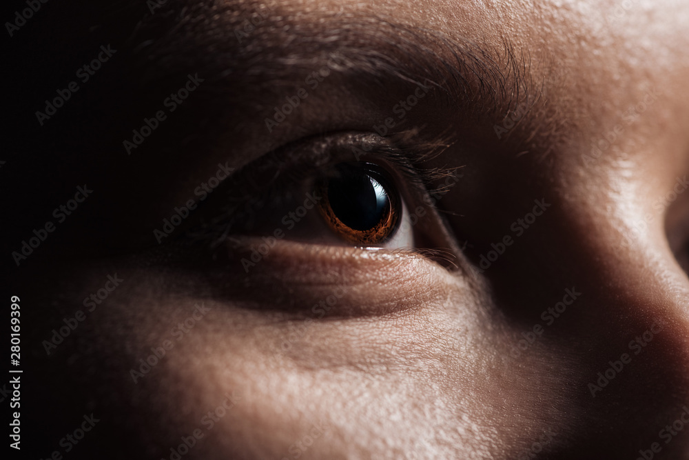 close up view of human brown eye looking away close up view of human brown eye looking away