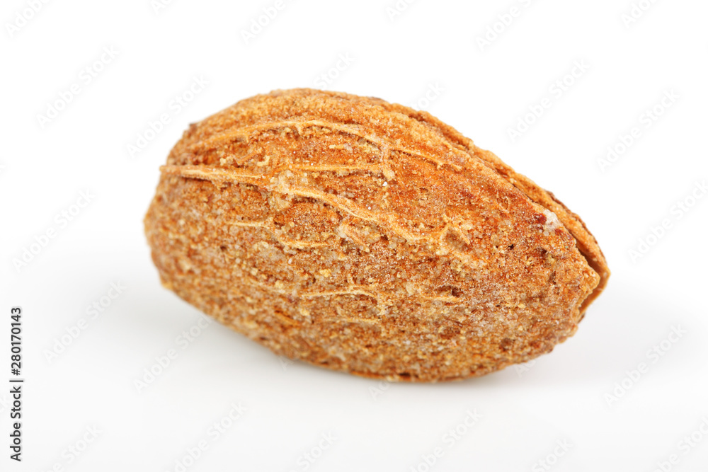 Salted Roasted Almond in Shell Salted Roasted Almond in Shell