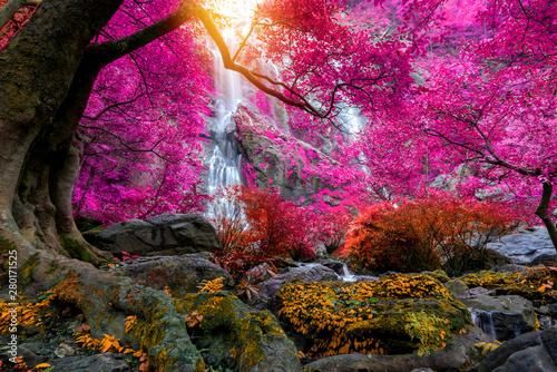 Fototapeta Naklejka Na Ścianę i Meble -  Khlong Lan waterfall is a beautiful Waterfalls in the rain forest jungle Thailand