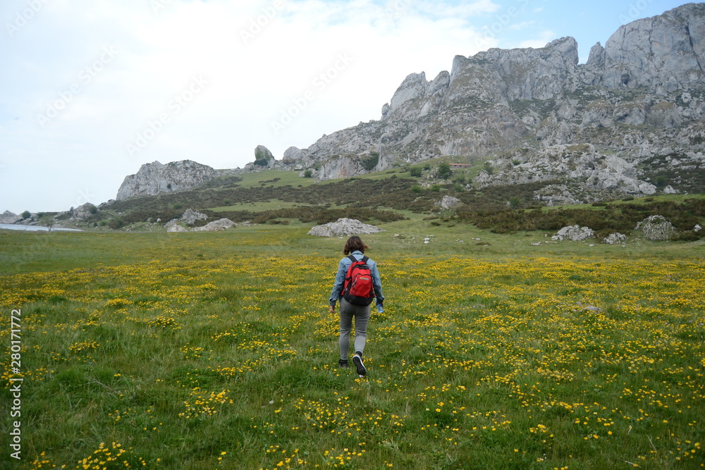 Fototapeta premium asturias