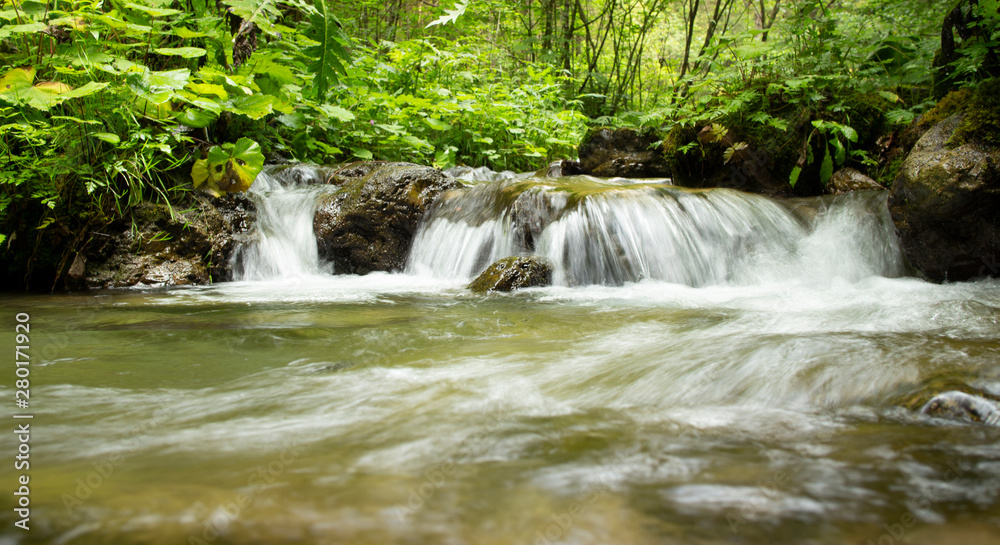 Obraz premium clear water and waterfulls in a little river in the forest