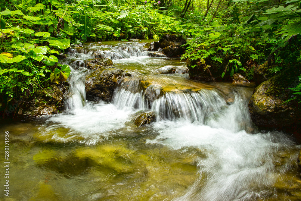 clear water and waterfulls in a little river in the forest clear water and waterfulls in a little river in the forest