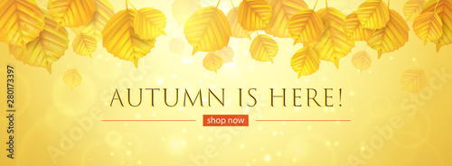 Autumn background with falling yellow leaves in the foreground.Banner with a seasonal sale