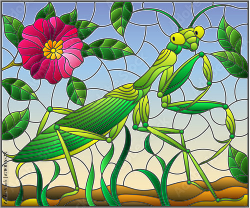 Illustration in stained glass style with green mantis and pink flower on grass and sky background