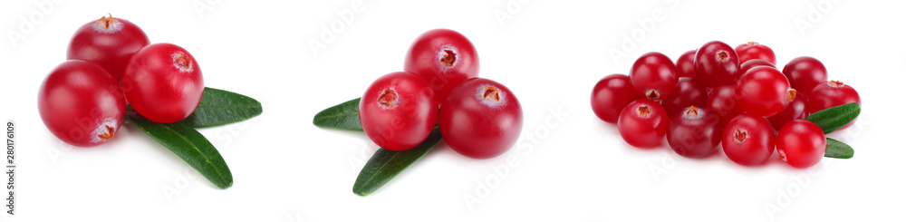Cranberry with leaves isolated on white. With clipping path. Full depth of field. Cranberry with leaves isolated on white. With clipping path. Full depth of field.