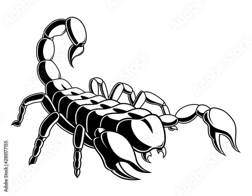 Monochrome scorpion