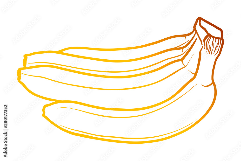Bananas black and color gradient outline illustrations set Bananas black and color gradient outline illustrations set