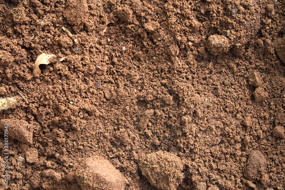 Brown colored soil background. Texture of soil ground.