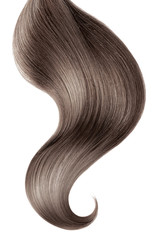 Brown hair isolated on white background. Long ponytail.