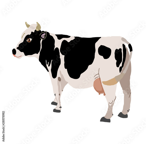 cow isolated on white vector animal