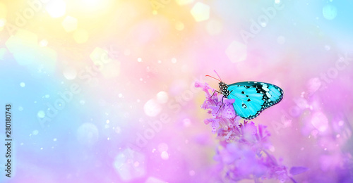 Canvas Print gentle spring or summer landscape with lilac flowers and butterfly on blurred abstract background
