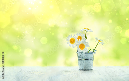 cute bouquet of daisies in bucket on wooden table, abstract natural summer background. summer season. delicate romantic scene. copy space. soft selective focus