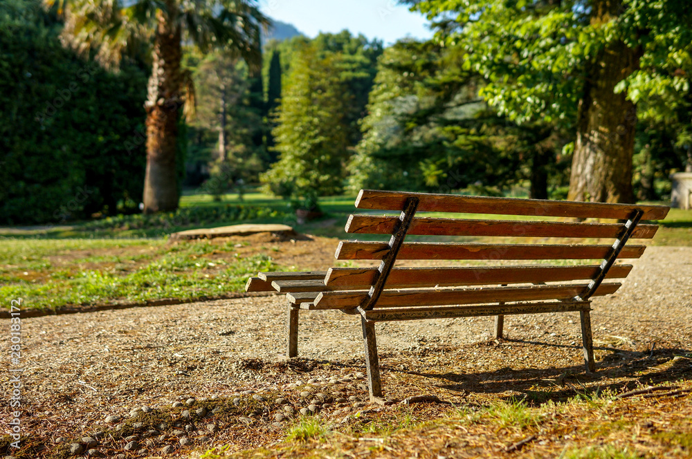 Lonely bench in a park. Beautiful Spring Park