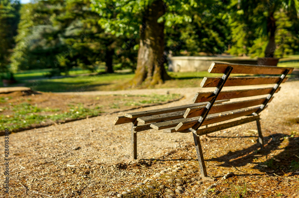 Lonely bench in a park, Beautiful Spring Park