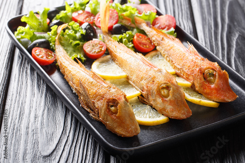 Mediterranean roasted sea fish gurnard with fresh vegetable salad and lemon close-up on the table. horizontal photo