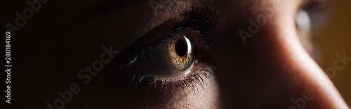 close up view of human brown eye looking away in dark  panoramic shot
