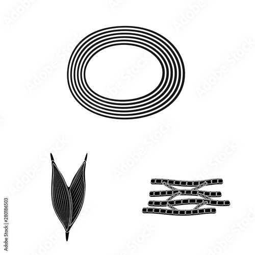 Vector design of human and body symbol. Collection of human and cells stock symbol for web.