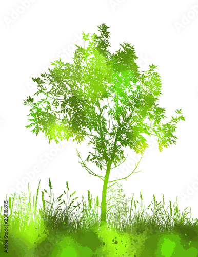 Beautiful green tree in the park. Vector