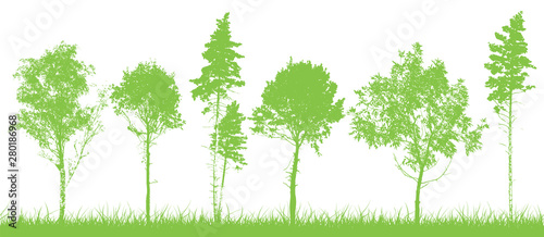 Background trees silhouettes. Vector illustration